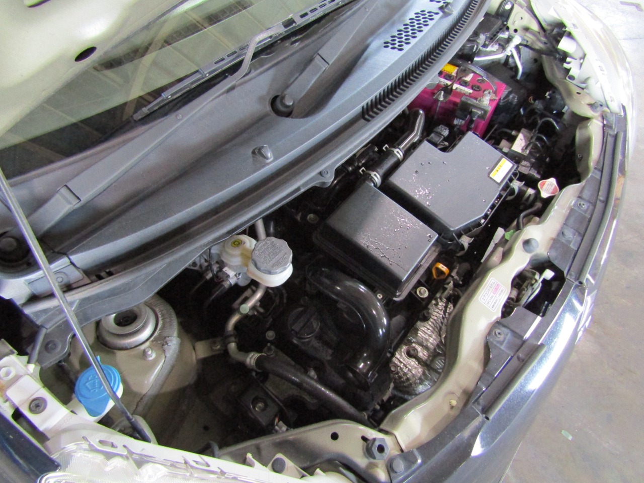 スズキ アルトエコの画像13