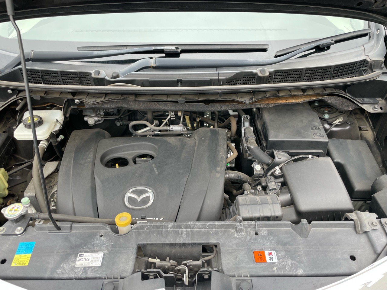 マツダ ビアンテの画像20