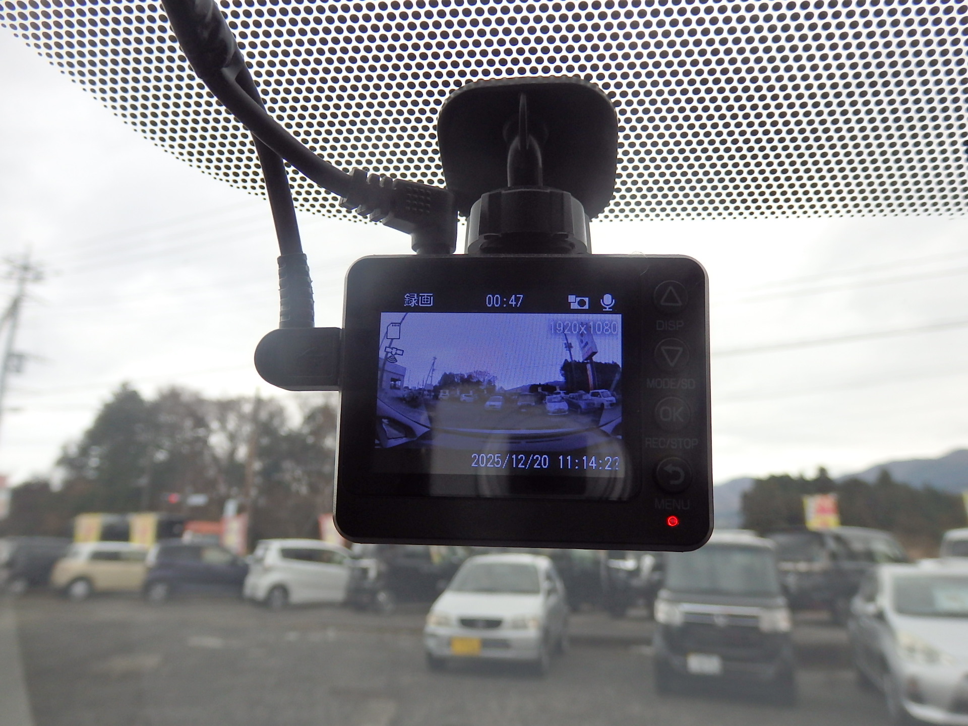 トヨタ プリウスの画像17