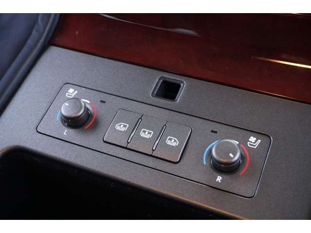 レクサス LSの画像19