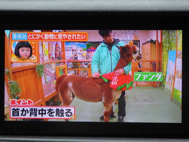 トヨタ アクアの画像12