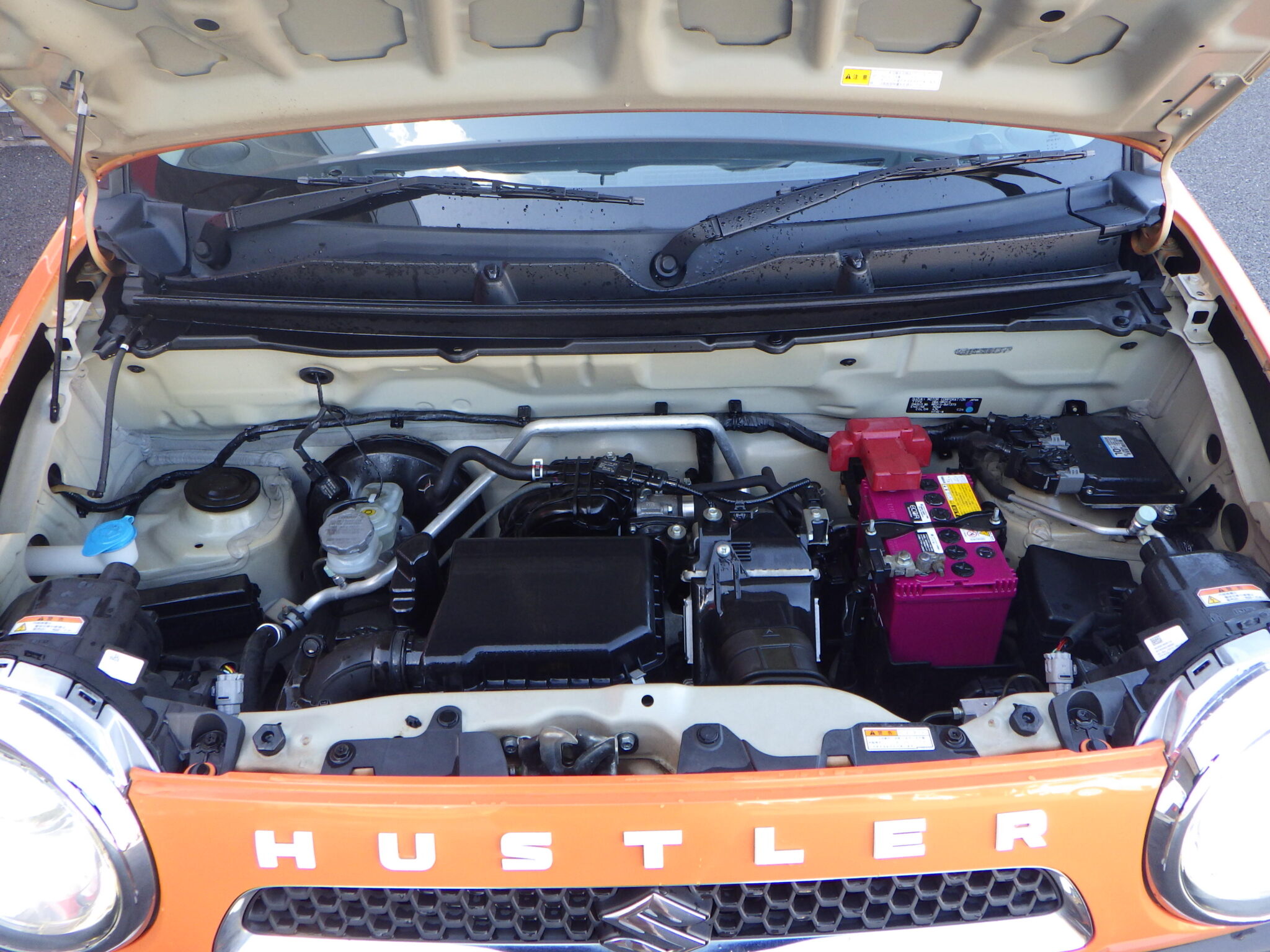 スズキ&nbsp;ハスラーの画像20